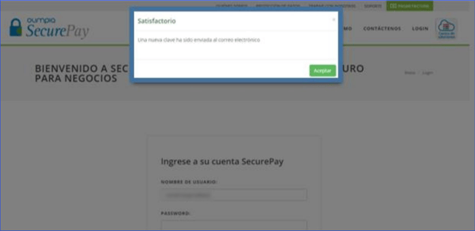 Manual_04_SecurePay_11