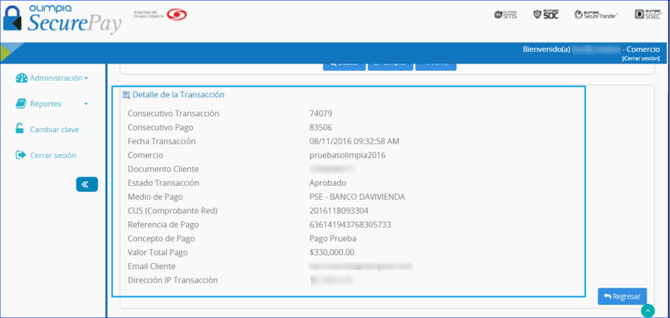 Manual_04_SecurePay_43